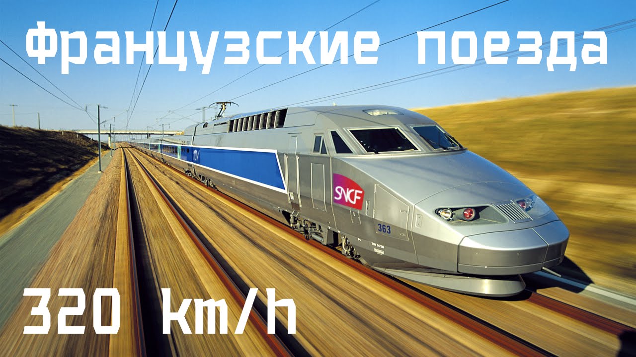 Предложения для туристов