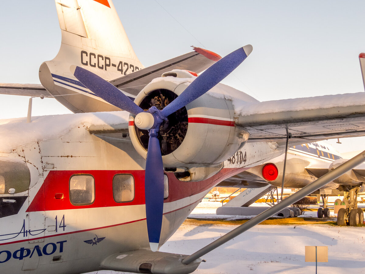 Технические особенности самолета Ан-14