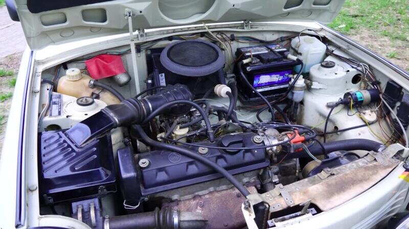 Trabant 1.: корабль, который погладил животных