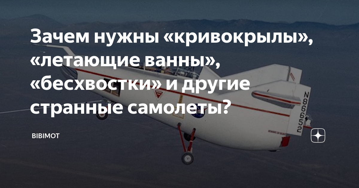 Бесхвостки: обзор будущего