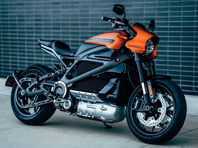Уникальный дизайн, сохраняющий дух классических Harley-Davidson
