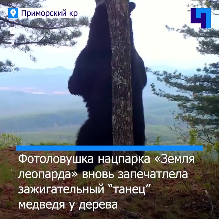 Преимущества снегоболотохода «Степанида»